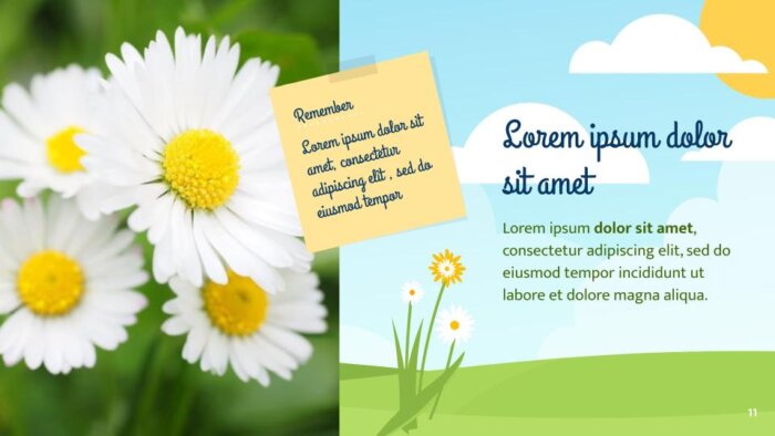 Mavis Spring Daisy Flowers by SlidesCorner.com