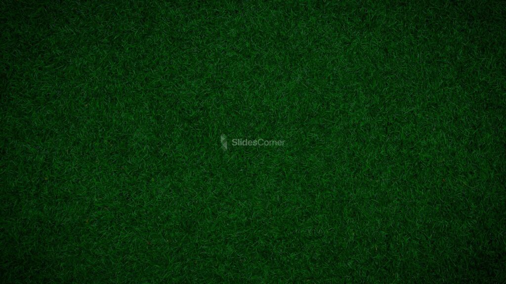 Soccer Field Free PPT Background