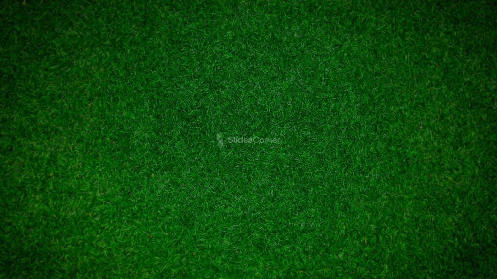 Soccer Stadium Free PPT Background