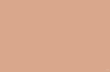 Brown Pastel Plain Background by SlidesCorner.com