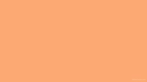 Plain colour orange wallpaper Wallpapers Download  MobCup