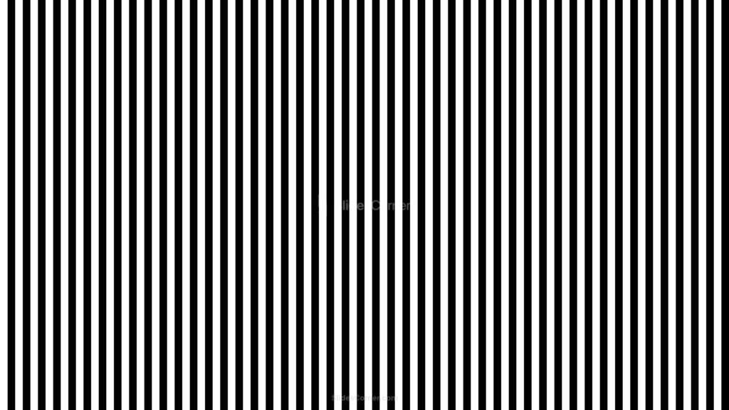 Black and White Striped Background Black and White Striped Background