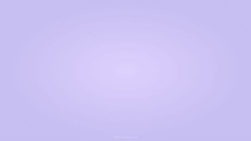 Pastel Lavender Solid Plain Background Pastel Lavender Solid Plain Background