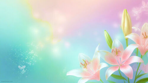 Powerpoint Background Spring Bokeh with Pastel Pink Lily Blossoms