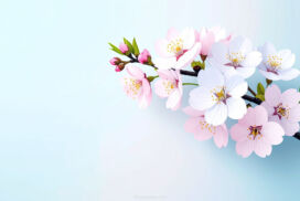 Aesthetic Cherry Blossom Powerpoint Background Clean and Minimal