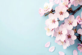 Elegant Floral Powerpoint Background Pink Cherry Blossom