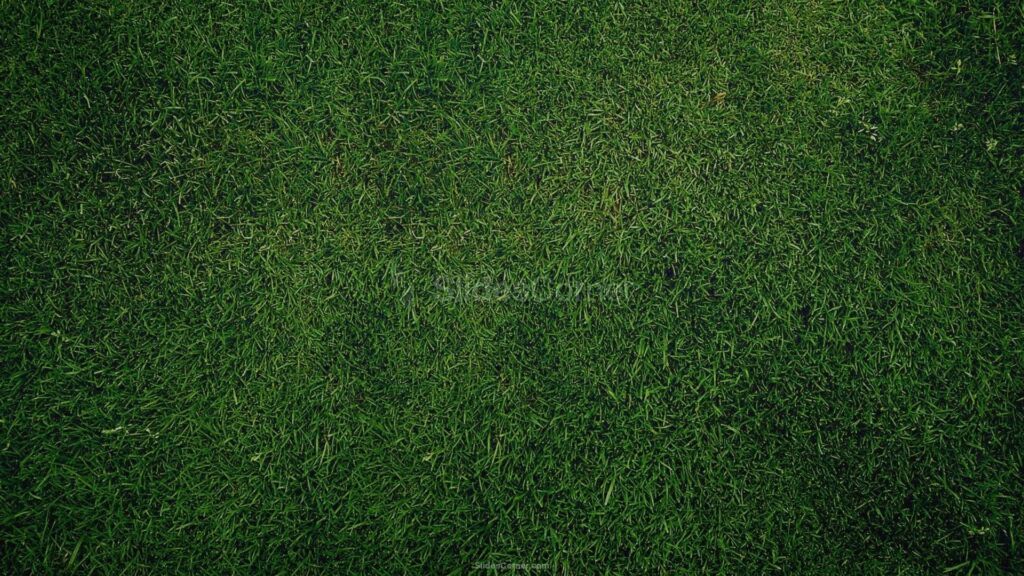 Dark Grass Football Field Background for Slides