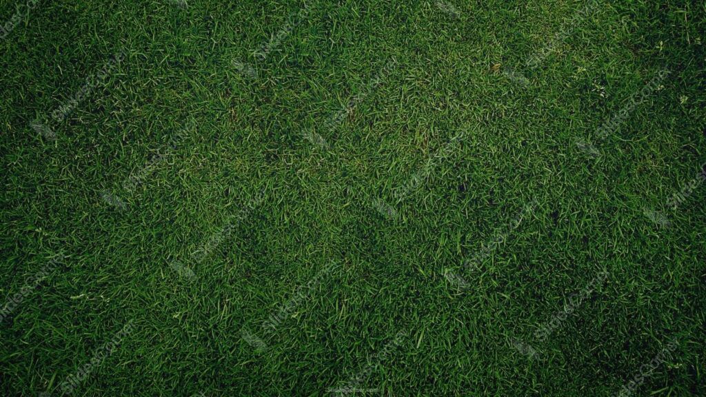Dark Grass Football Field Background for Slides Dark Grass Football Field Background for Slides