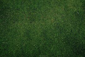Dark Grass Football Field Background for Slides