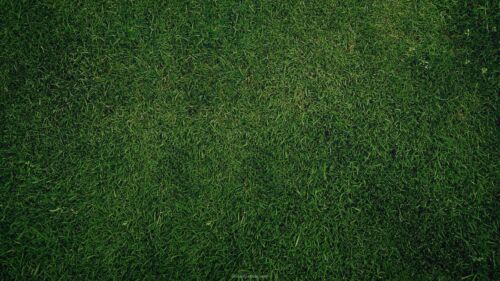 Dark Grass Football Field Background for Slides by SlidesCorner.com