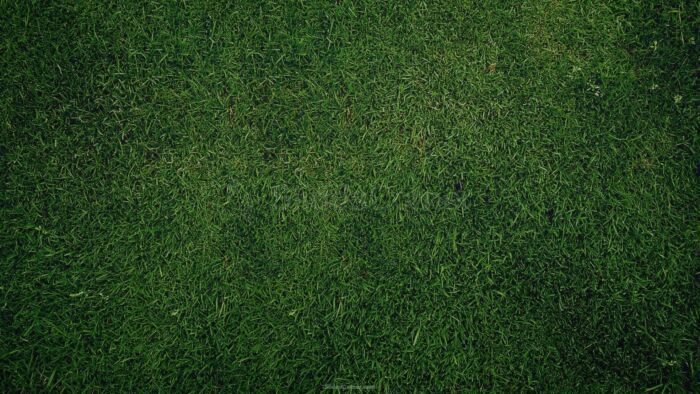 Dark Grass Football Field Background for Slides