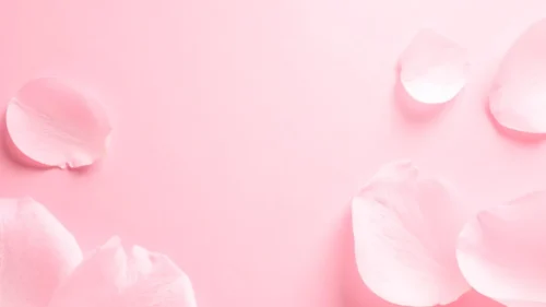 Soft pink floral phone wallpaper with rose petals scattered on a blush background, free download 1080x1920