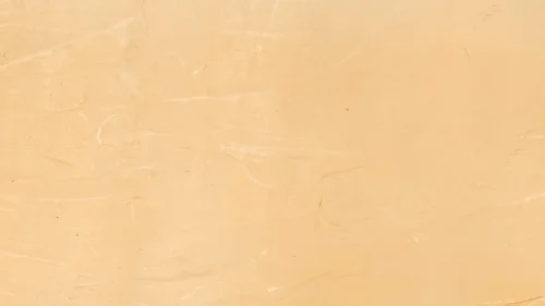 Brown Pastel Plain Background For PowerPoint And Google Slides Brown Pastel Plain Background For PowerPoint And Google Slides