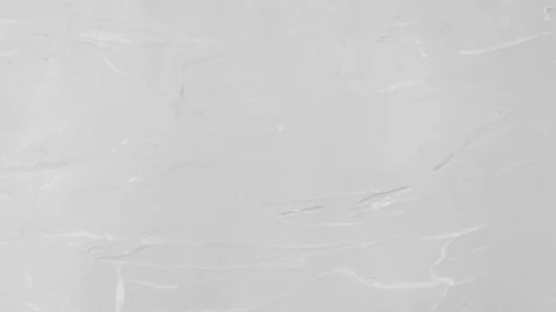 Light Gray Plain Background For PowerPoint And Google Slides Light Gray Plain Background For PowerPoint And Google Slides