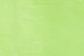 Light Green Plain Background For PowerPoint And Google Slides