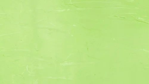 Light Green Plain Background For PowerPoint And Google Slides Light Green Plain Background For PowerPoint And Google Slides