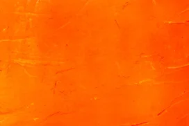 Orange Plain Background For PowerPoint And Google Slides