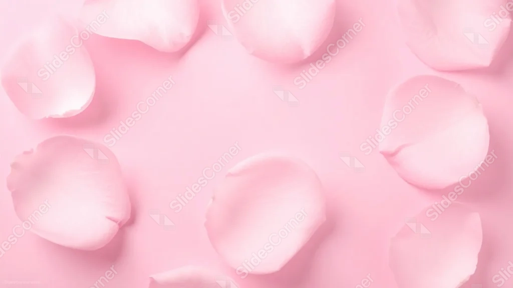 Pink Rose Petals Background For Slides With A Soft Open Center Pink Rose Petals Background For Slides With A Soft Open Center