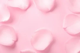 Pink Rose Petals Background For Slides With A Soft Open Center
