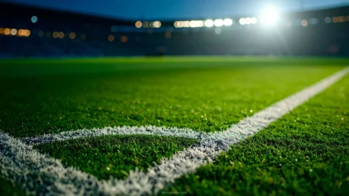Soccer Field Background With Macro Grass and a Corner Line Soccer Field Background With Macro Grass and a Corner Line