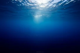 Blue Background With Underwater Sunrays Breaking The Surface