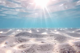 Underwater Background For PowerPoint With A Sandy Seafloor