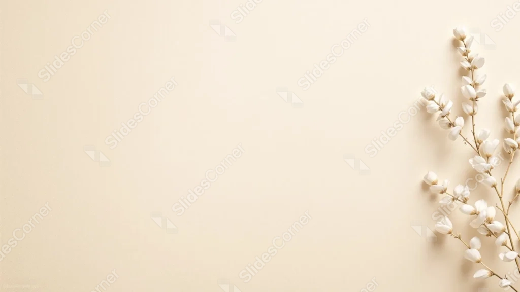 Aesthetic Beige Background For PowerPoint With A Cotton Sprig Aesthetic Beige Background For PowerPoint With A Cotton Sprig