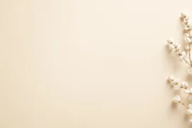 Aesthetic Beige Background For PowerPoint With A Cotton Sprig