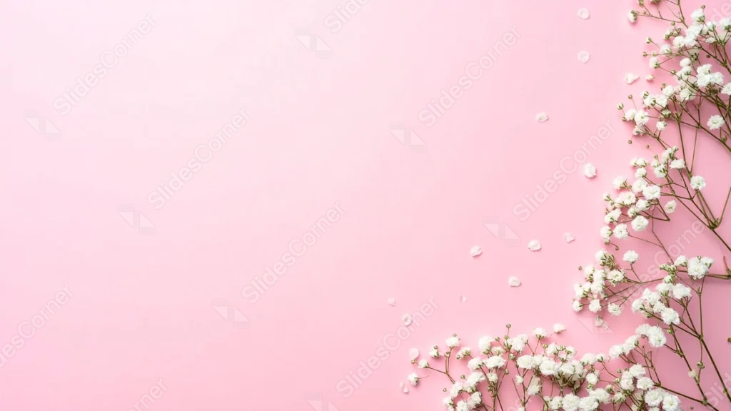 Cute Pink Background For PowerPoint With A Baby’s Breath Side Border