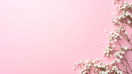 Cute Pink Background For PowerPoint With A Baby’s Breath Side Border Cute Pink Background For PowerPoint With A Baby’s Breath Side Border