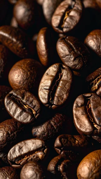 Rich Roasted Coffee Beans Wallpaper for Phone – Free 1080×1920 Download
