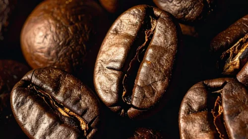 Rich Roasted Coffee Beans Wallpaper for Phone – Free 1080×1920 Download