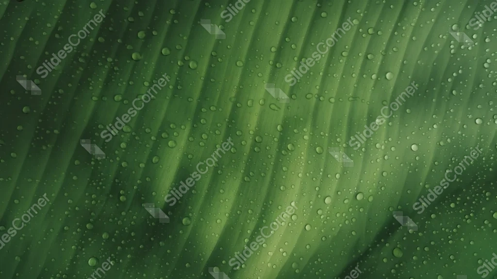 Green Leaf Background For PowerPoint With Glistening Water Drops
