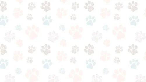 Pastel Paw Print Pattern Wallpaper for Phone – Free 1080×1920 Download
