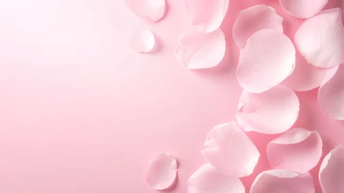Pink Petals Background For PowerPoint With Real Texture Pink Petals Background For PowerPoint With Real Texture
