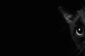 Black Cat Background For PowerPoint With Glowing Eye