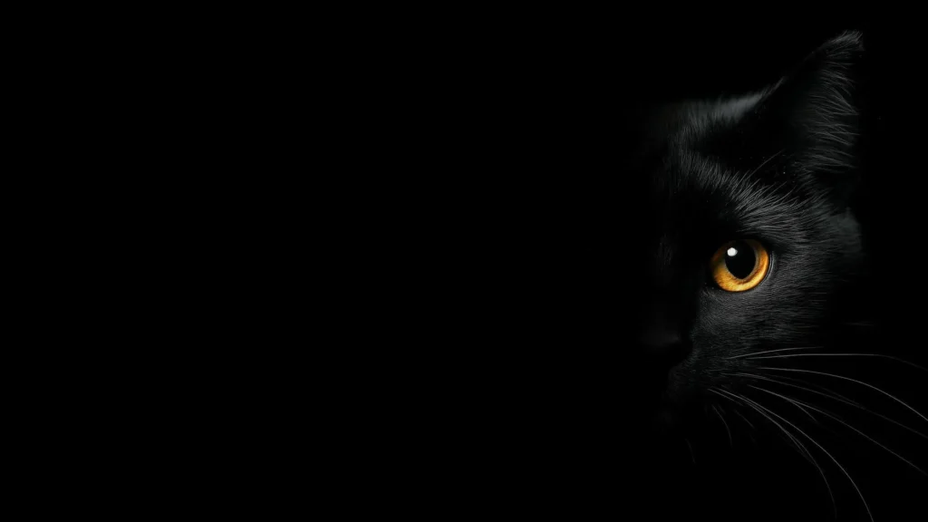 Black Cat Background with a Single Amber Eye in Deep Shadow