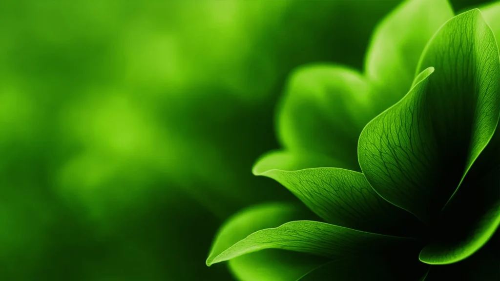 Green Leaf Background For PowerPoint With A Layered Rosette