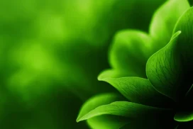 Green Leaf Background For PowerPoint With A Layered Rosette