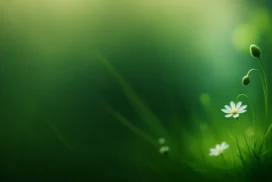 Green Flower Background For PowerPoint With Single Daisy Stem