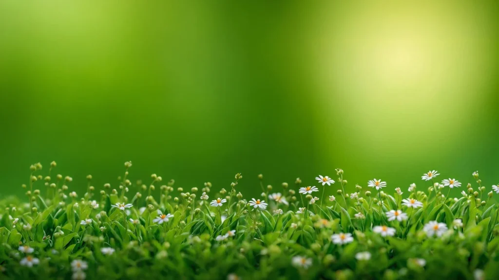 Green Nature Background For PowerPoint With Daisies In Grass