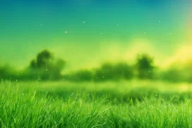 Green Landscape Background For PowerPoint With Sunset Meadow