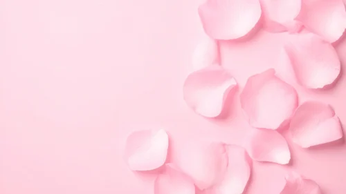 Pink Petals Background for Google Slides with Dense Corner Cluster Pink Petals Background for Google Slides with Dense Corner Cluster