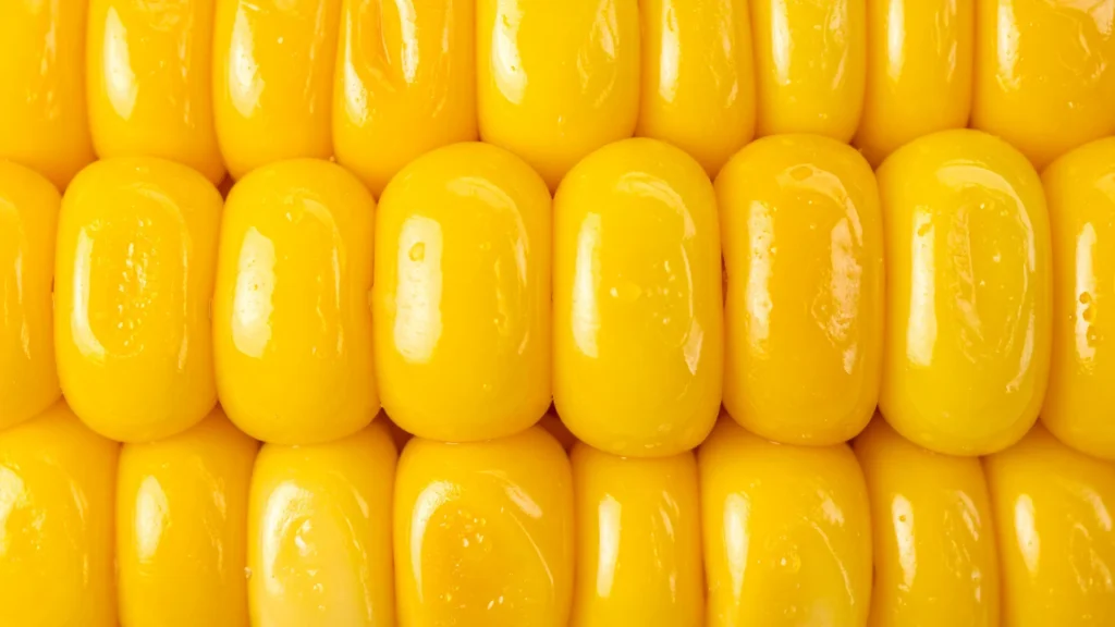 Corn Background for PowerPoint with Glossy Yellow Kernel Rows