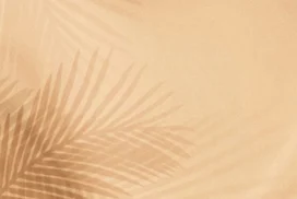 Sand Background for PowerPoint with Palm Leaf Shadows on Warm Beige