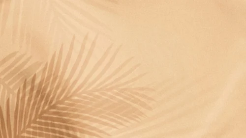 Warm beige sand background for PowerPoint with a palm leaf shadow in the bottom left corner
