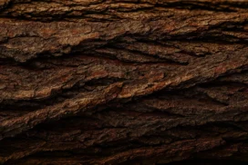 Wood Bark Background For PowerPoint With Deep Natural Grooves