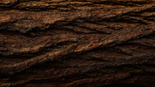 Wood Bark Background For PowerPoint With Deep Natural Grooves Wood Bark Background For PowerPoint With Deep Natural Grooves