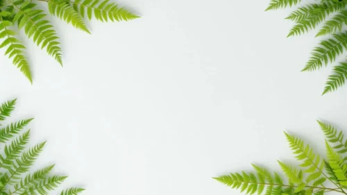 Fern Leaves Frame Background for PowerPoint with Lime Green Fronds on Clean White Fern Leaves Frame Background for PowerPoint with Lime Green Fronds on Clean White