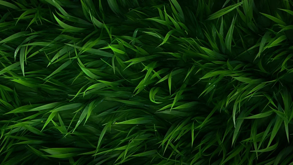 Green Grass Background for PowerPoint with Dark Blades